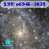 [L99] n6946-3039