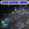 [L99] n6946-4060