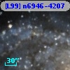 [L99] n6946-4207
