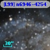 [L99] n6946-4254