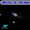 [BFC81] 3C 293 Mid