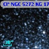 Cl* NGC 5272     KG      17
