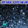 Cl* NGC 5272     SK     265