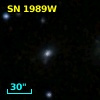SN 1989W