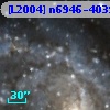 [L2004] n6946-4039