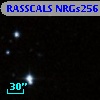 RASSCALS NRGs256
