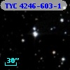 TYC 4246-603-1