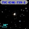TYC 4246-739-1