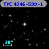 TYC 4246-599-1
