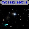 TYC 3962-1067-1