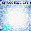 Cl* NGC 5272    GYB    1603