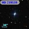 HD 239539