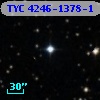 TYC 4246-1378-1