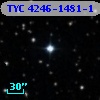 TYC 4246-1481-1