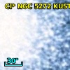 Cl* NGC 5272   KUST     256