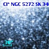 Cl* NGC 5272     SK     348