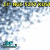 Cl* NGC 5272   KUST     729