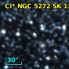 Cl* NGC 5272     SK     132