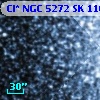 Cl* NGC 5272     SK     116
