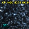 Cl* NGC 5272     SK      66