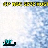 Cl* NGC 5272   KUST     301