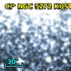 Cl* NGC 5272   KUST     481