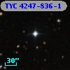 TYC 4247-836-1