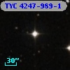 TYC 4247-989-1