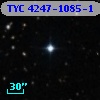 TYC 4247-1085-1