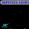 NGP9 F324-1154527