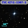 TYC 4251-1307-1