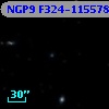 NGP9 F324-1155785