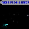 NGP9 F324-1156077