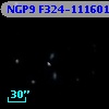 NGP9 F324-1116019