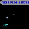 NGP9 F324-1157399