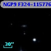 NGP9 F324-1157761