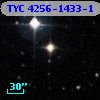 TYC 4256-1433-1