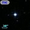 TYC 2005-19-1