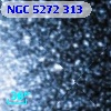 NGC  5272   313