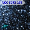 NGC  5272   275