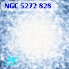 NGC  5272   828