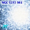 NGC  5272   981