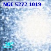 NGC  5272  1019