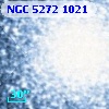 NGC  5272  1021