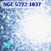 NGC  5272  1037