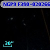 NGP9 F380-0202663