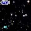 NSV 13714