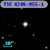 TYC 4248-955-1