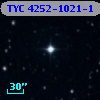 TYC 4252-1021-1