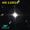 HD 119516